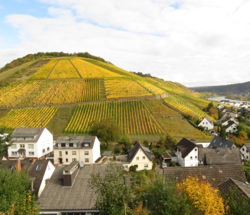 HerbstfarbenMosel13 18102025-009