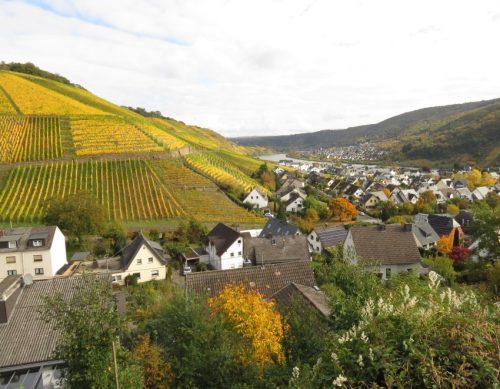 HerbstfarbenMosel13 18102025-010