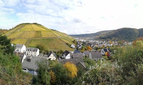 HerbstfarbenMosel13 18102025-011