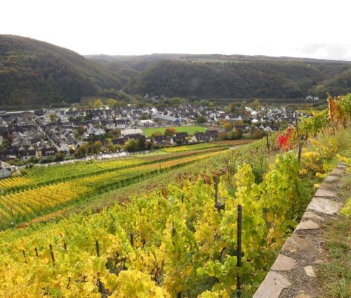 HerbstfarbenMosel13 18102025-015