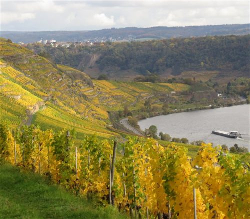 HerbstfarbenMosel13 18102025-019
