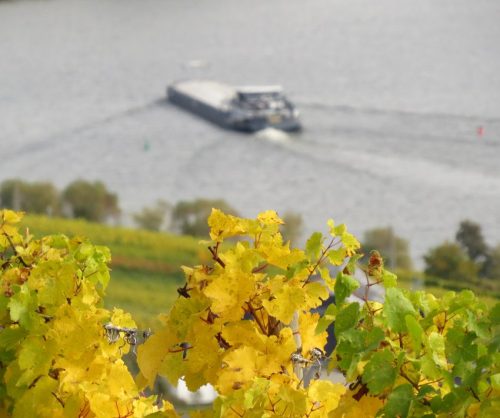 HerbstfarbenMosel13 18102025-021