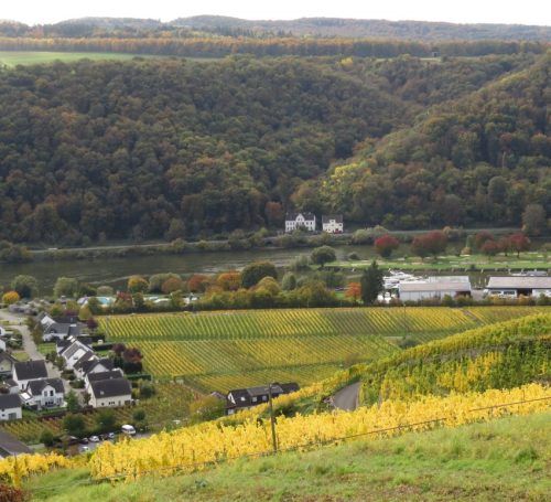 HerbstfarbenMosel13 18102025-023
