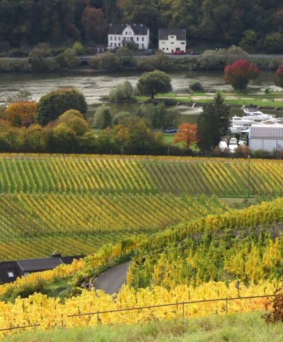 HerbstfarbenMosel13 18102025-024