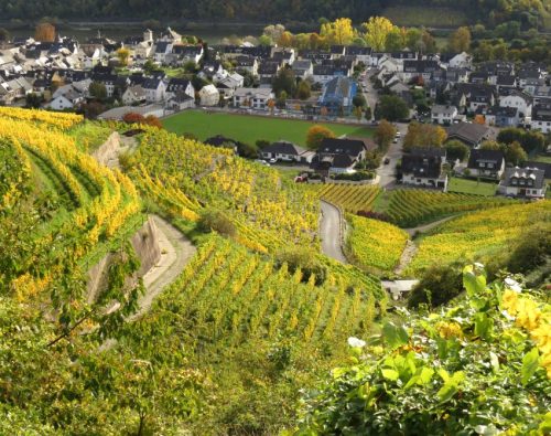 HerbstfarbenMosel13 18102025-026