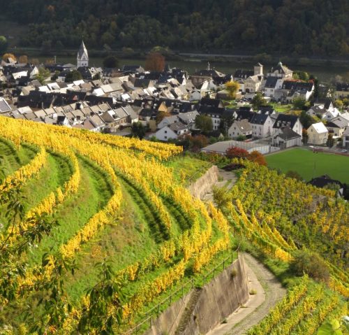 HerbstfarbenMosel13 18102025-027