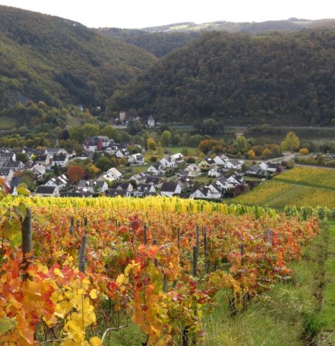 HerbstfarbenMosel13 18102025-028