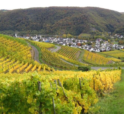 HerbstfarbenMosel13 18102025-034