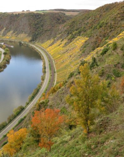 HerbstfarbenMosel13 18102025-042