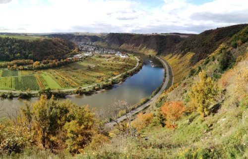 HerbstfarbenMosel13 18102025-043