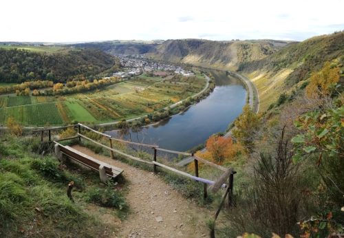 HerbstfarbenMosel13 18102025-044