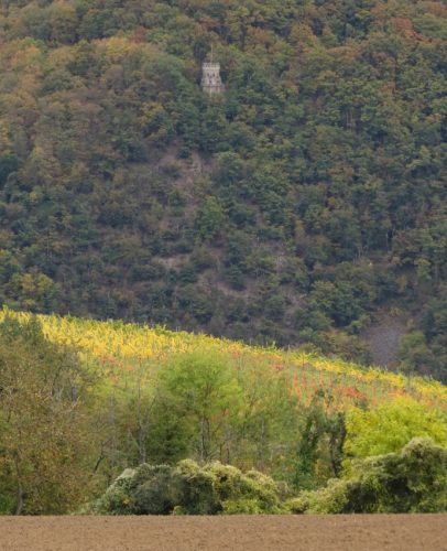 HerbstfarbenMosel13 18102025-046