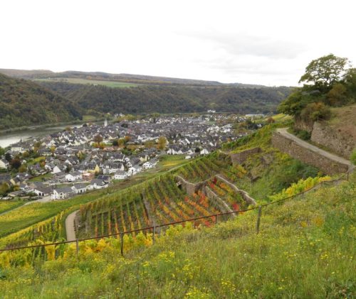 HerbstfarbenMosel13 18102025-048