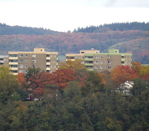 HerbstfarbenMosel13 18102025-052