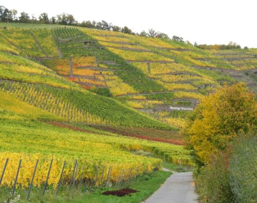 HerbstfarbenMosel14 19102025-002