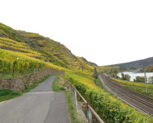 HerbstfarbenMosel14 19102025-007