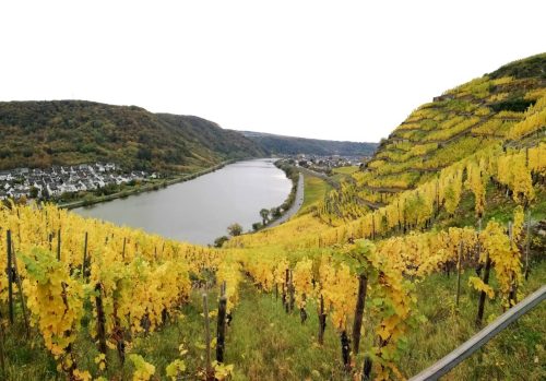 HerbstfarbenMosel14 19102025-010