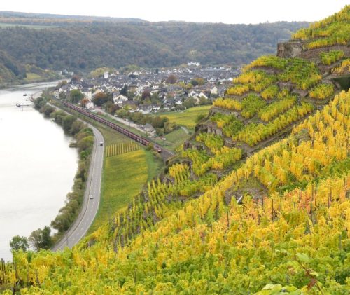 HerbstfarbenMosel14 19102025-016