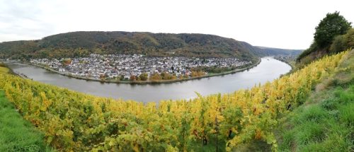 HerbstfarbenMosel14 19102025-018