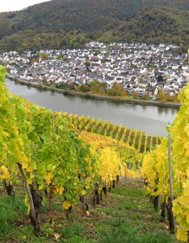 HerbstfarbenMosel14 19102025-023