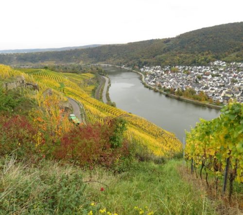 HerbstfarbenMosel14 19102025-024