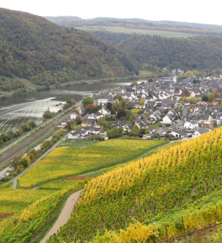 HerbstfarbenMosel14 19102025-026