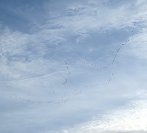 HerbstfarbenMosel14 19102025-029