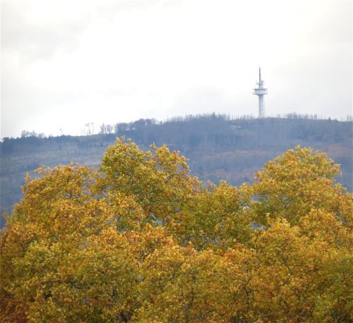 HerbstfarbenMosel16 25102025-002
