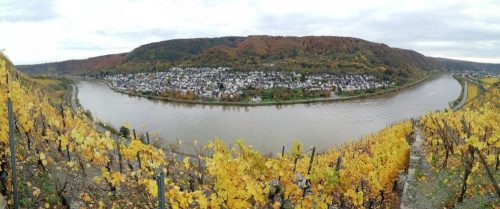 HerbstfarbenMosel18 31102025-006a