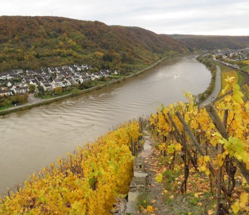 HerbstfarbenMosel18 31102025-007
