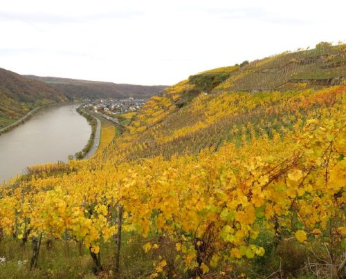 HerbstfarbenMosel18 31102025-009