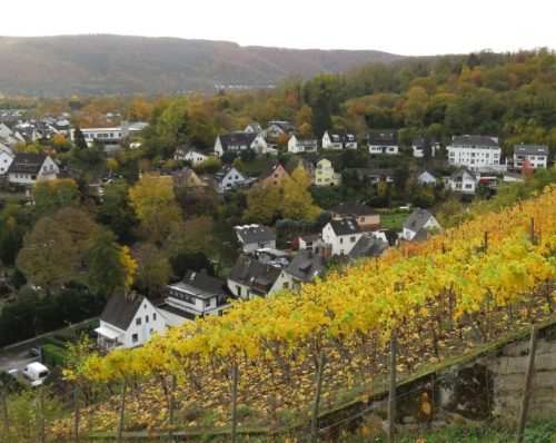 HerbstfarbenMosel19 02112025-003