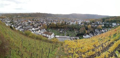 HerbstfarbenMosel19 02112025-003a