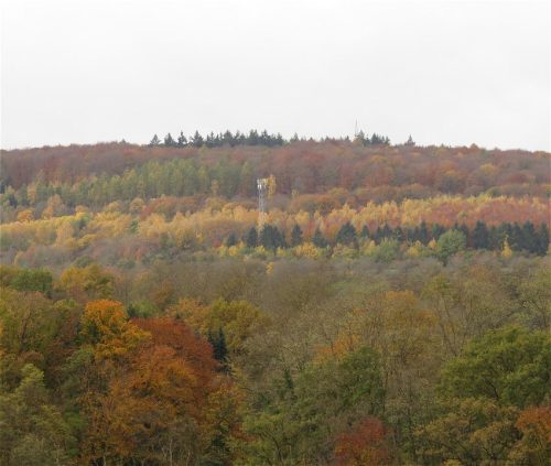 HerbstfarbenMosel19 02112025-004