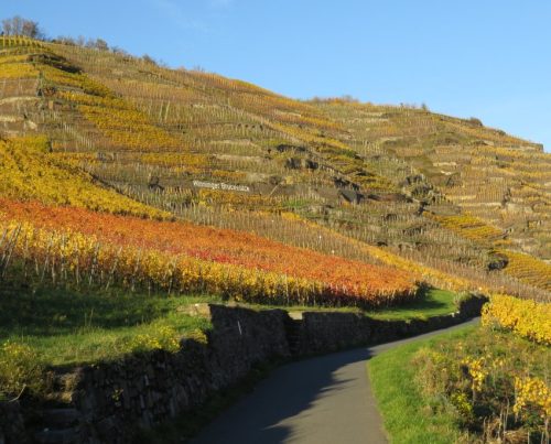 HerbstfarbenMosel20 05112025-001