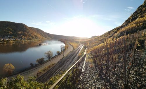 HerbstfarbenMosel20 05112025-003