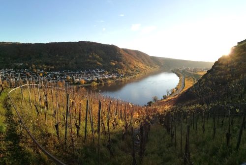 HerbstfarbenMosel20 05112025-005a