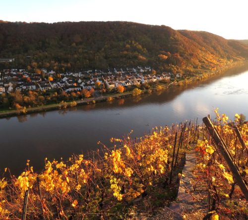 HerbstfarbenMosel20 05112025-007