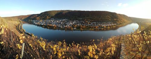 HerbstfarbenMosel20 05112025-007a