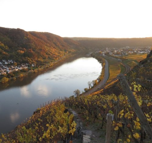 HerbstfarbenMosel20 05112025-008