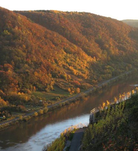 HerbstfarbenMosel20 05112025-009