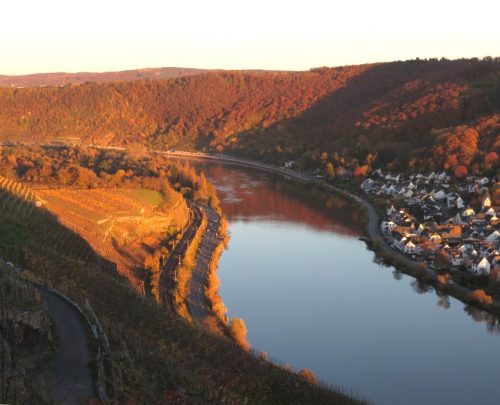 HerbstfarbenMosel20 05112025-010
