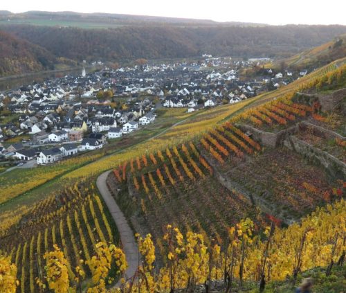 HerbstfarbenMosel20 05112025-011
