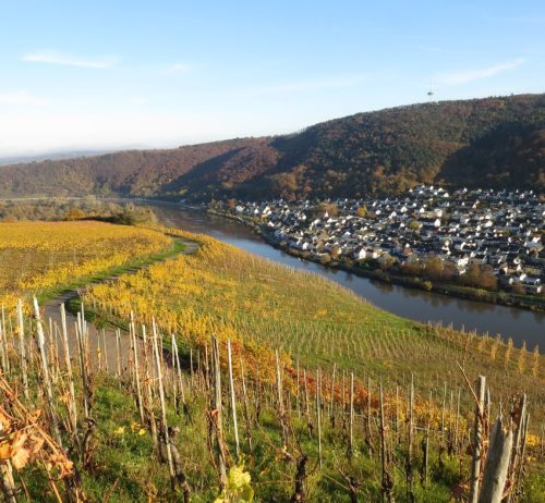 HerbstfarbenMosel21 07112025-002