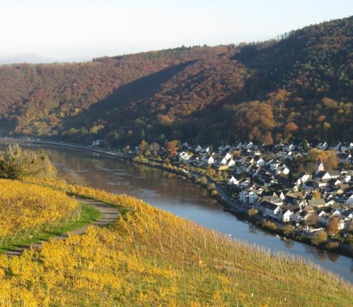 HerbstfarbenMosel21 07112025-003