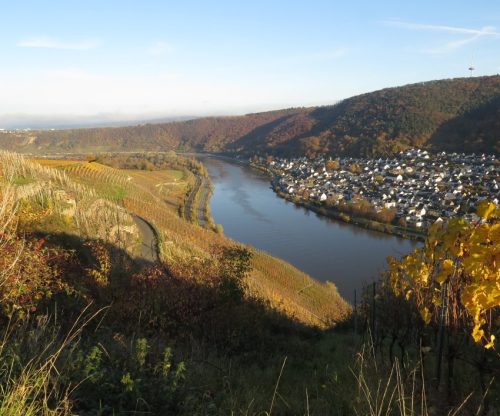 HerbstfarbenMosel21 07112025-004