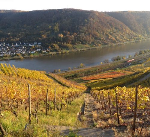 HerbstfarbenMosel21 07112025-006
