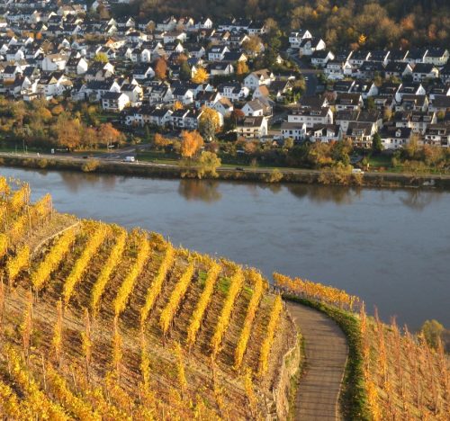HerbstfarbenMosel21 07112025-007