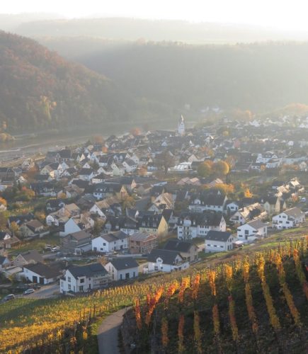 HerbstfarbenMosel21 07112025-008