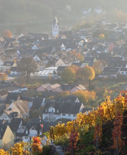 HerbstfarbenMosel21 07112025-009